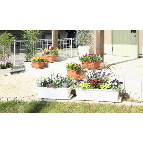 アーンプランター プランター ぺデスタール 大型 セット ファイバークレイ 鉢 ホワイト アッシュ 英国風 Ash Tall アーン プランター ヨーロピアン おしゃれ フラワーポット