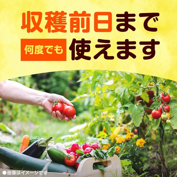 アース製薬 アースガーデン トマトの虫・病気 退治&予防 1000ml :101