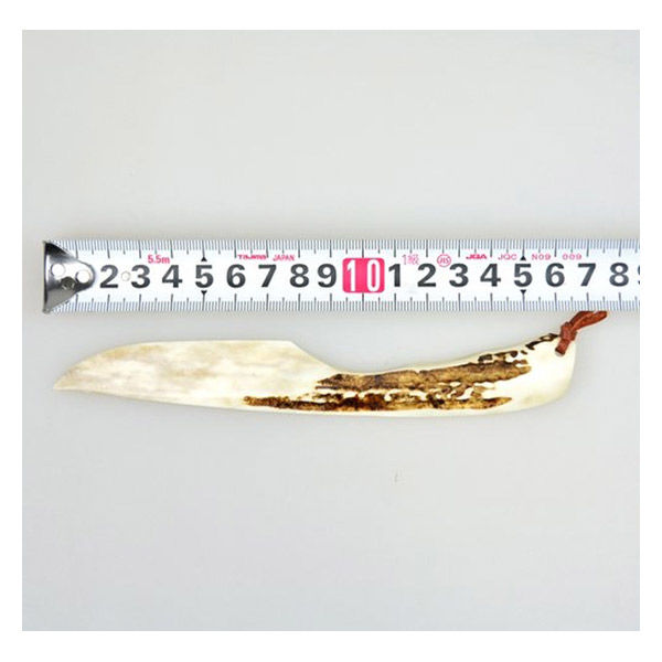鹿角　端材 21kg 011※ 2025-107 先端角1本☆鹿の角☆シカの角☆工作素材 - メルカリ
