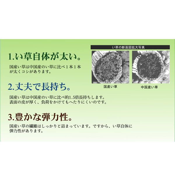 イケヒコ 純国産 い草 上敷き カーペット 糸引織 『日本の暮らし イケヒコ 純国産 い草 上敷き カーペット 糸引織 『日本の暮らし