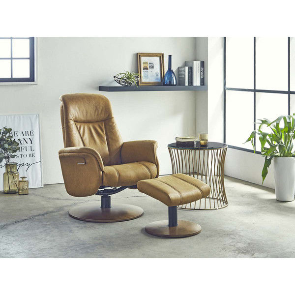 【車上渡し】RELAX FORM パルコ Parco パーソナルチェア キャメル 1セット（直送品） キャメル