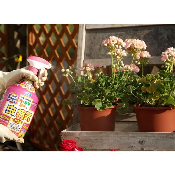 カダンプラスDX 虫と病気 1000ml 1本 園芸用殺虫・殺菌剤 カダンプラスDX 虫と病気 1000ml 1本 園芸用殺虫・殺菌剤