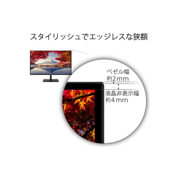 ジャパンネクスト 28インチ ワイド 4K液晶ディスプレイ(1年保証) JN-IPS2801UHDR 1個（直送品）