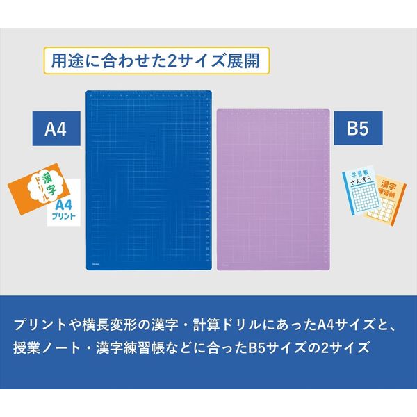 レイメイ藤井 先生おすすめ 魔法のザラザラ下じき B5 0.6mmドット