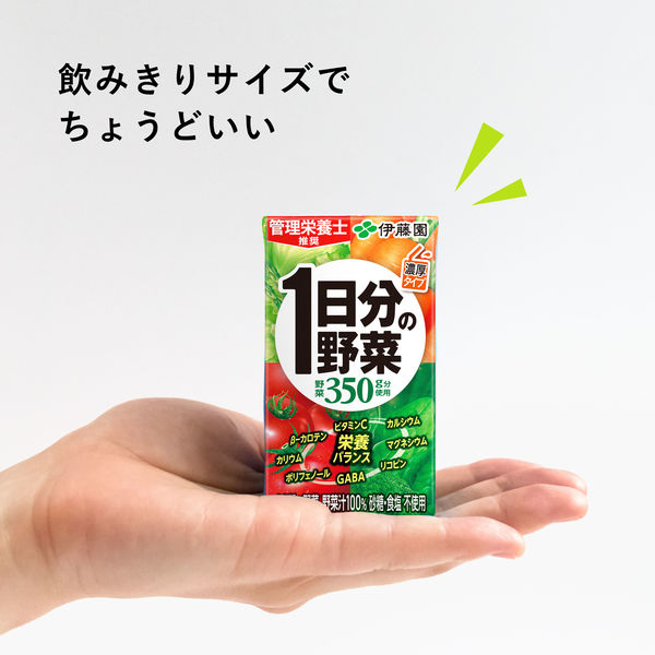 伊藤園 1日分の野菜 125ml 紙パック 1セット（24本：12本入×2箱）