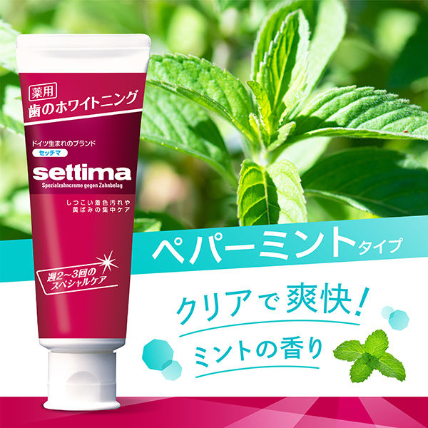 セッチマ はみがき スペシャル 80g スタンディングタイプ サンスター settima 歯磨き粉 美白 ホワイトニング 虫歯 むし歯 フッ素