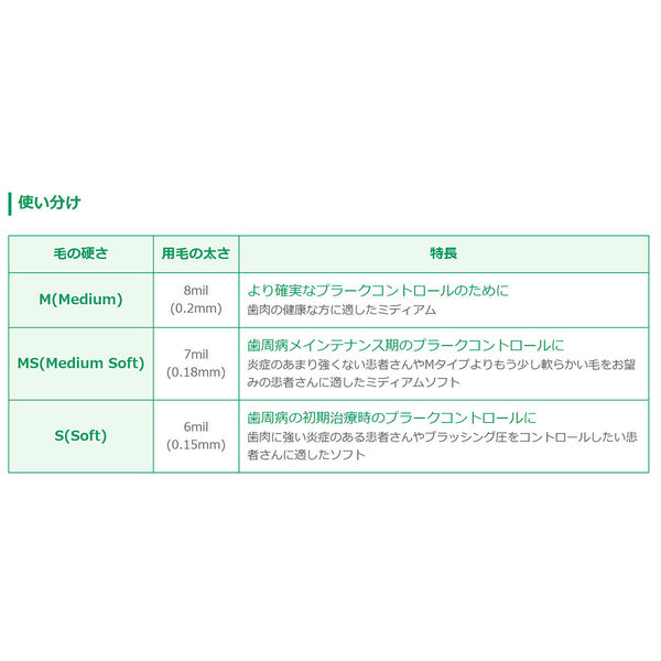 歯科医院取扱品 DENT.MAXIMA(デントマキシマ) M ミディアム