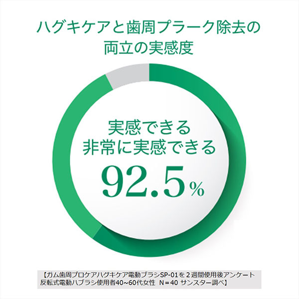 ガム 歯周プロケア ハグキケア 電動ハブラシ 替えブラシ 2本組 サン