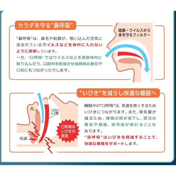 ブリーズライト キッズ スモール 10枚 5個セット 佐藤製薬