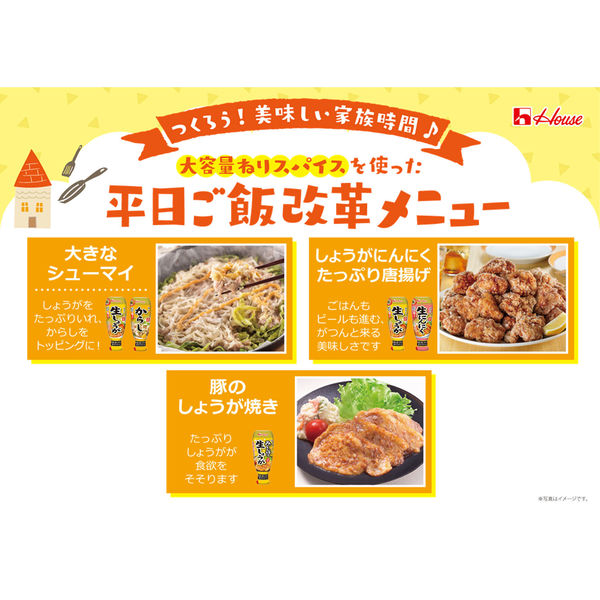 ☆まとめ買い☆ ハウス食品 ねり和からし 43g ×120個【イー ☆まとめ買い☆ ハウス食品 ねり和からし 43g ×120個【イー