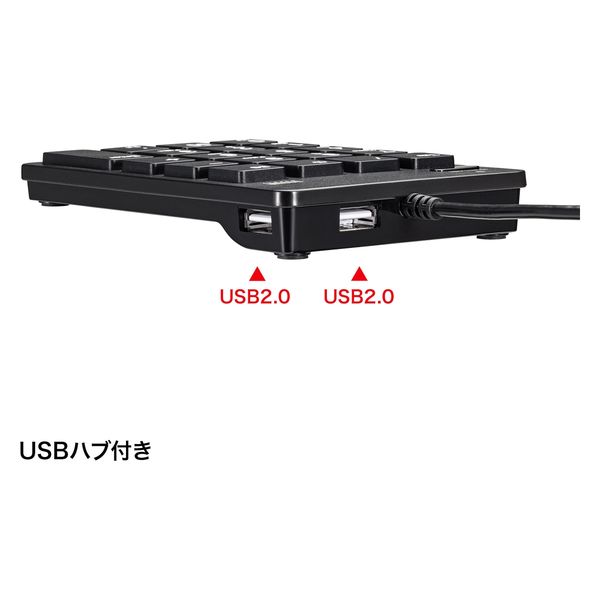 サンワサプライ USBテンキー（Type-Cコネクタ・USB2.0ハブ付き） NT