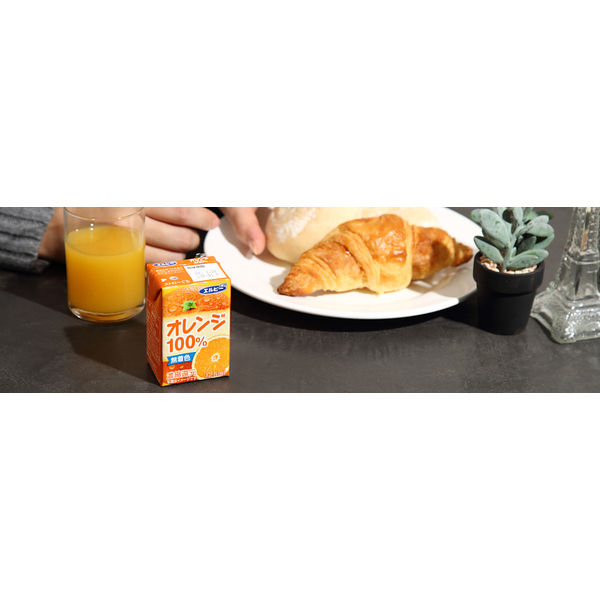 エルビー 125ml オレンジ 100％ 1箱（30本入） - アスクル