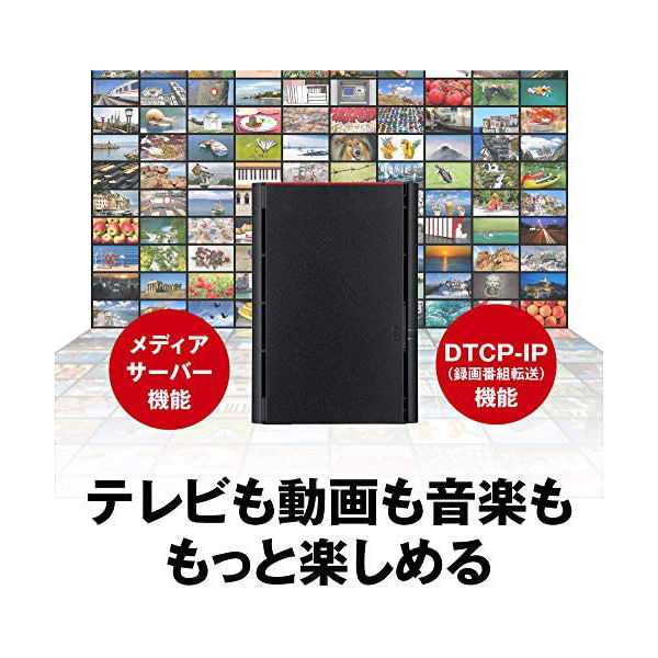 NAS（ネットワークハードディスク）6TB 2ドライブ リンクステーション