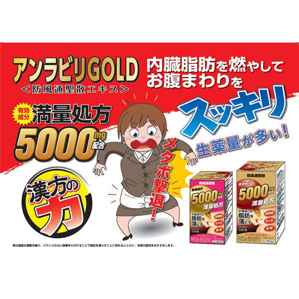 アンラビリゴールド 360錠 阪本漢法製薬 漢方薬 防風通聖散 皮下