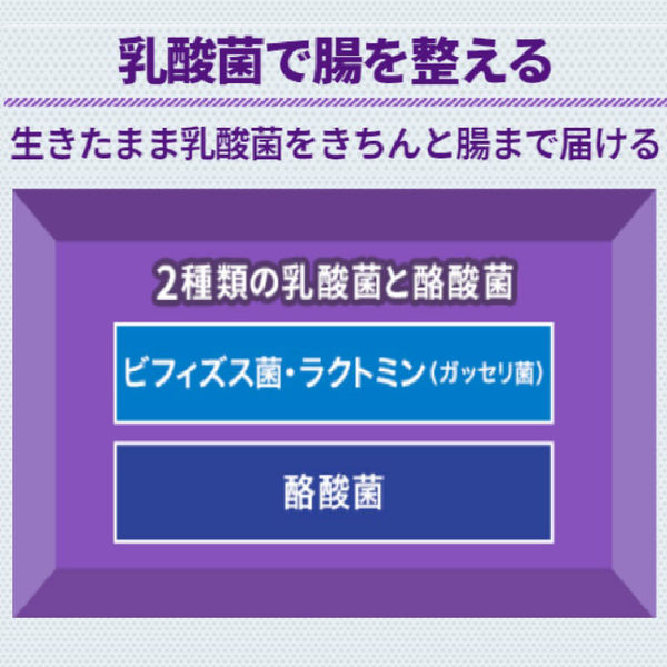 太田胃散整腸薬 160錠 太田胃散 おなかが弱い方に 軟便・便通を