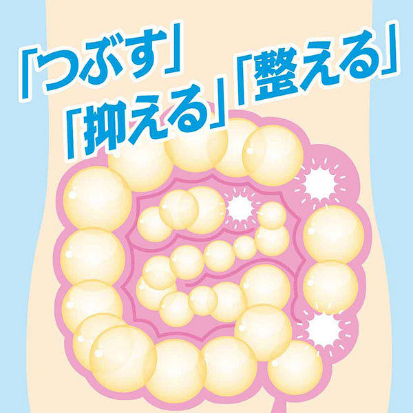Amazon.co.jp: 【第3類医薬品】ガスピタンa 36錠 : ドラッグストア