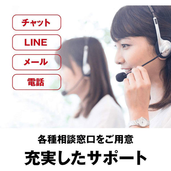 バッファロー USB2.0対応ポータブルDVDドライブ ブラック DVSM バッファロー USB2.0対応ポータブルDVDドライブ ブラック DVSM