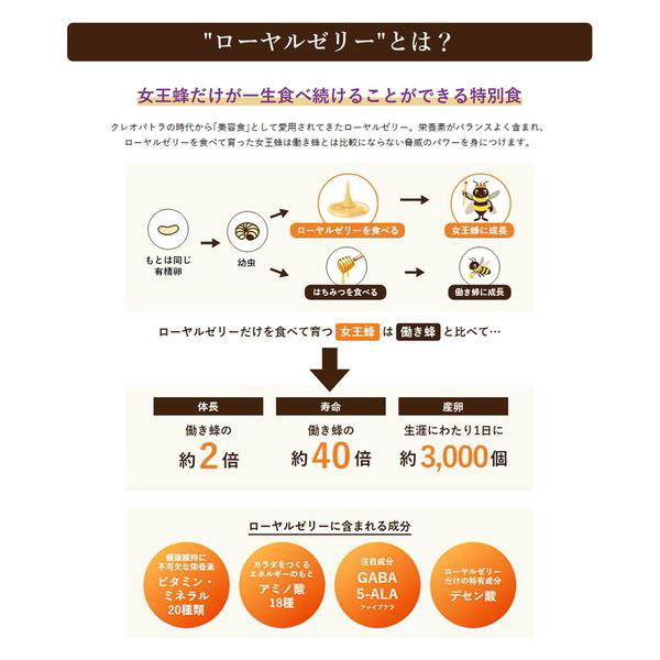 Amazon | 森川健康堂 モリカワ ブルーベリー 180粒 | 森川健康堂