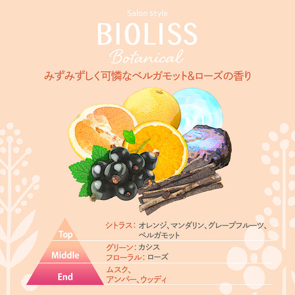 SS ビオリス / SS ビオリス ボタニカル モイスト リペア