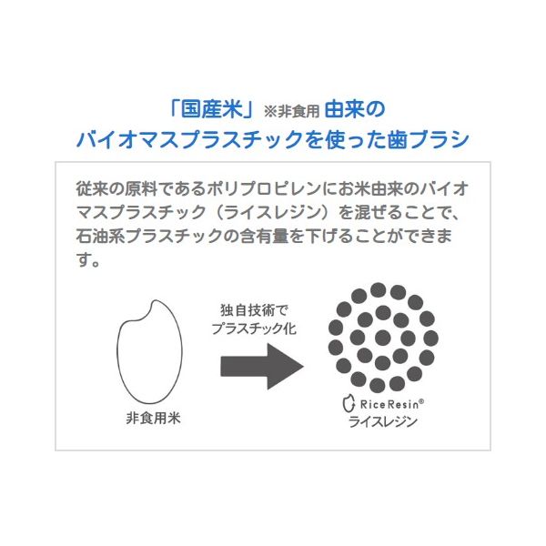 アスクル先行販売】 歯科医推奨 エコデント ライスレジン歯ブラシ ふつう 大人・子供向け 6色アソート 1セット（12本入）ラピス 限定 - アスクル