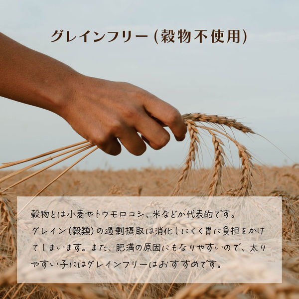 シグネチャー7 チキンブロス ウィークリーパック 1箱（80g×7