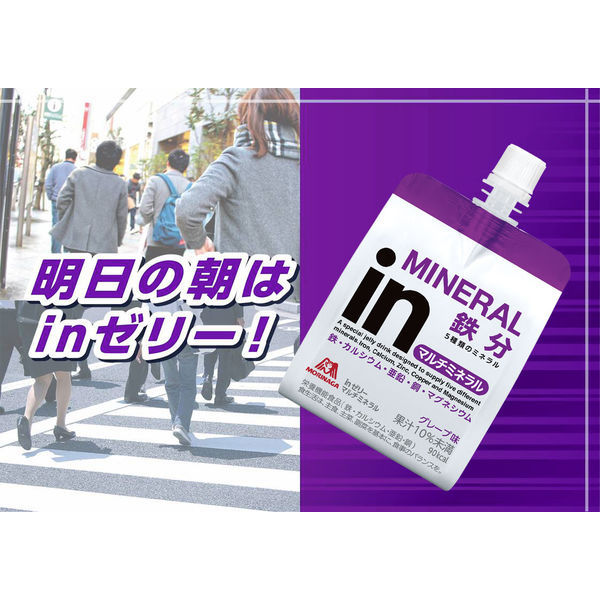 森永製菓 inゼリー 定番3種アソートセット（エネルギー