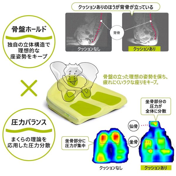 西川 Keeps 骨盤サポート まっすぐ姿勢 クッション 子供用 高反発 抗菌 理想な姿勢 ラベンダー HG93904653601 1個 - アスクル