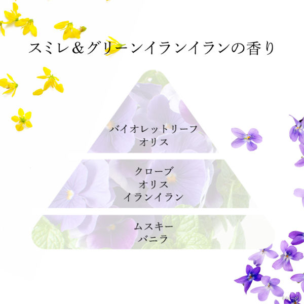 ボタニカル by ミューズ 泡ハンドソープ スミレ＆グリーンイラン