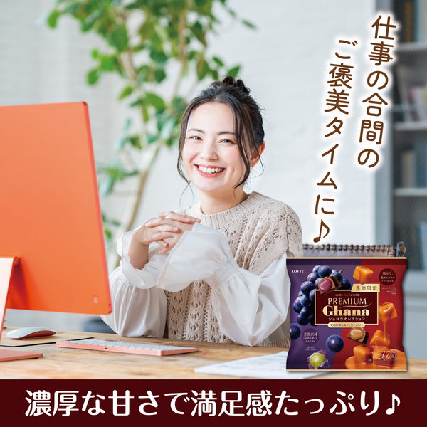 プレミアムガーナ ショコラセレクション 1セット（1袋×2） ロッテ チョコレート お菓子 - アスクル