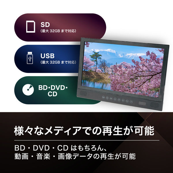 高橋国際 14インチフルセグ対応ポータブルBDプレーヤー BW-F14BD 1台（直送品） - アスクル