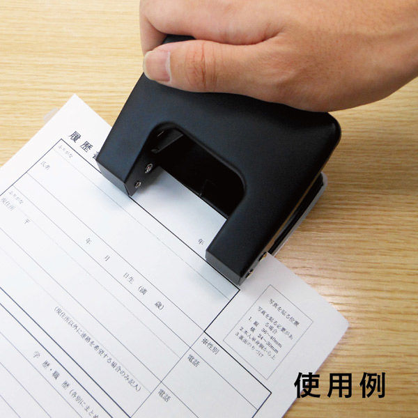 アックスコーポレーション 2穴パンチ 大 K-2HP 1セット(10個