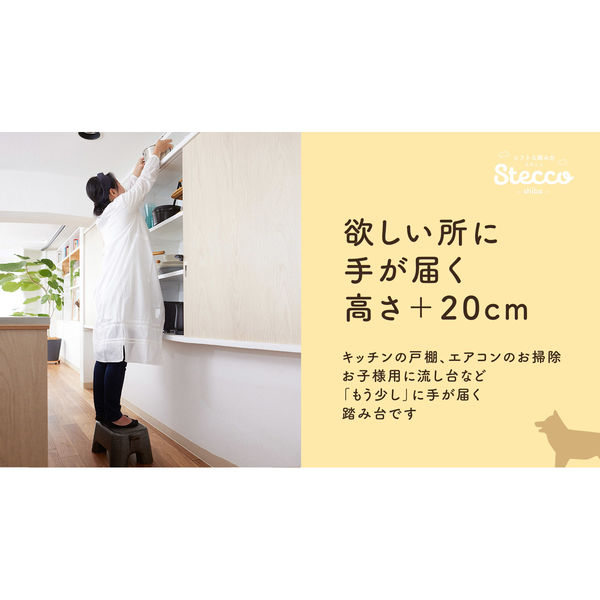 石山 ソフトな踏台 STECCO (ステッコ) ブラウン 4546516100125 1 石山 ソフトな踏台 STECCO (ステッコ) ブラウン 4546516100125 1