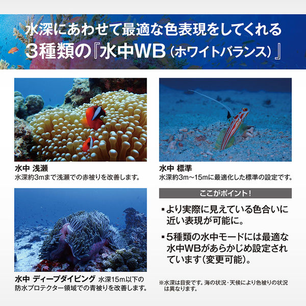 OLYMPUS TG-7 レッド 互換充電池充電器付き 購入前にコメント必須 OLYMPUS TG-7 レッド 互換充電池充電器付き 購入前にコメント