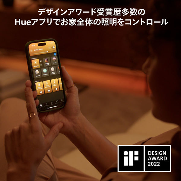 Philips Hueグラデーションライトリボン 1m エクステンション