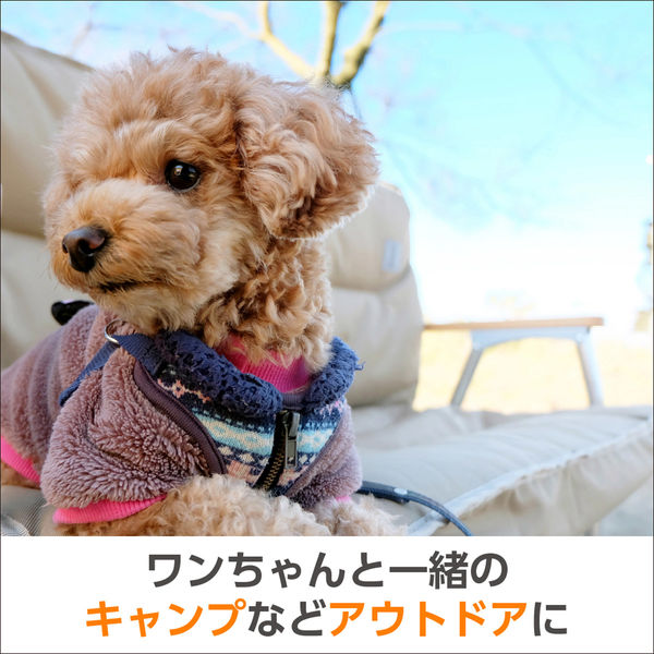ニーズ 小型犬用 ミャオワン Spot 歯磨き用 4589870630969 1