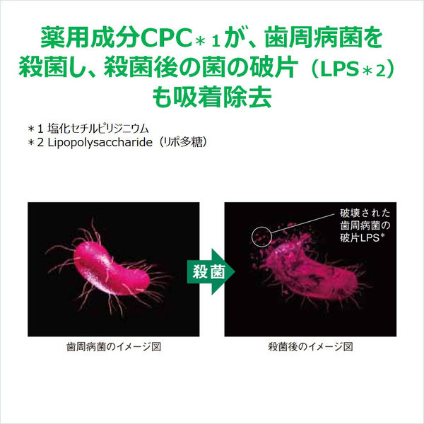 ガム ウェルプラス（GUM WELL PLUS） デンタルペースト ハーブミント 125g サンスター 歯磨き粉 ブロック殺菌　832142