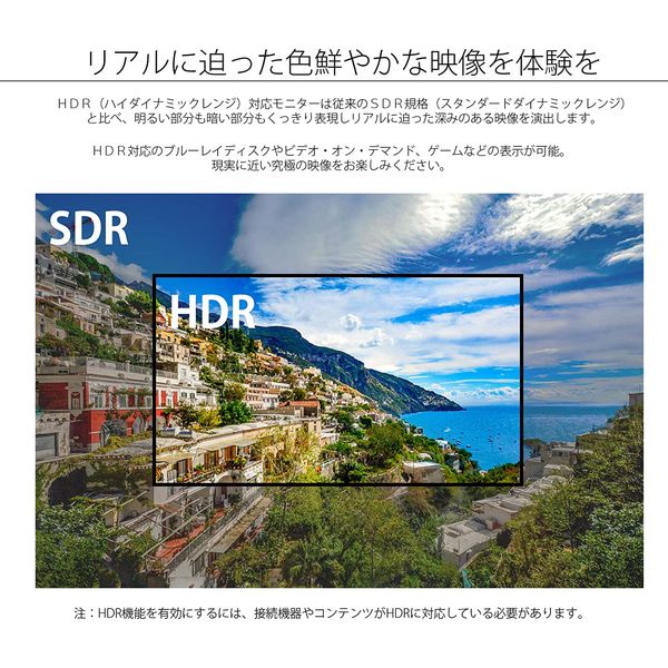 JAPANNEXT（ジャパンネクスト） 50インチ4K液晶モニター JN-HDR501V4K 