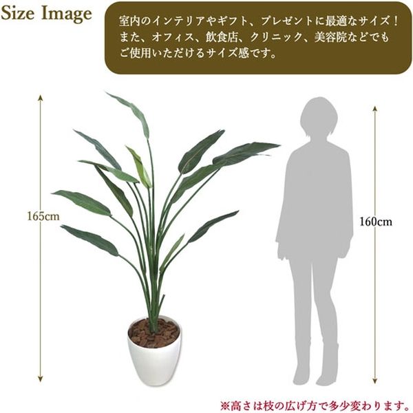 ササガワ フェイクグリーン・人工観葉植物 ストレリチア Lサイズ ササガワ フェイクグリーン・人工観葉植物 ストレリチア Lサイズ
