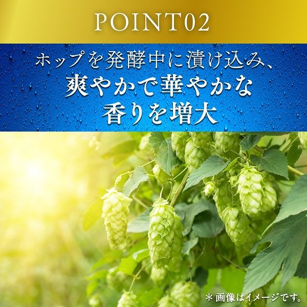 キリン一番搾り 糖質ゼロ 500ml 24缶 - アスクル