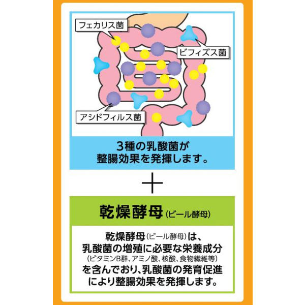 エビオス整腸薬 1セット（504錠×2個） アサヒグループ食品 【指定医薬