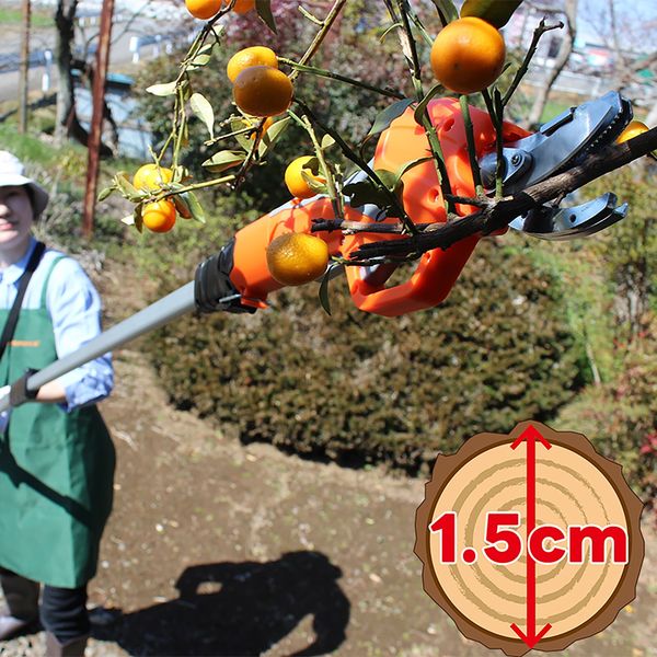 エアロボックス YARDFORCE 12Vコードレス 高枝切り 電動ハサミ 小枝