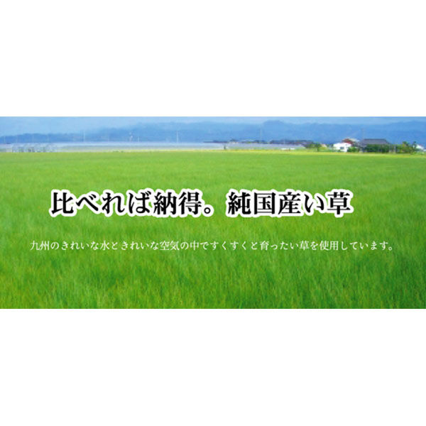 イケヒコ 柳川かすり い草ラグ 1910×1910mm ブルー 1051090043604 1枚(直送品) イケヒコ 柳川かすり い草ラグ 1910×1910mm ブルー 1051090043604 1枚(直送品)