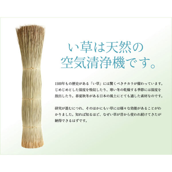 おがたけいこ　　フランチェスカの白い庭 ぎゅっ🌷 2巻カバー絵の人物のみ画像です。 中扉にモノクロでは