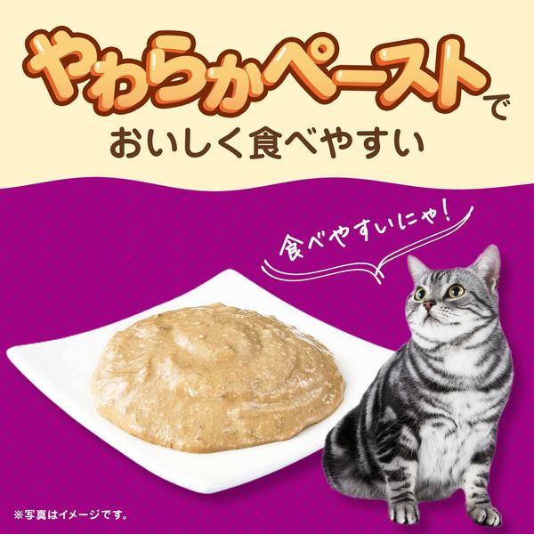 kalkan カルカン キャットフード ウェットフード ねこ 猫 えさ エサ 餌 Amazon | カルカン パウチ 12か月までの子ねこ用 まぐろ入り