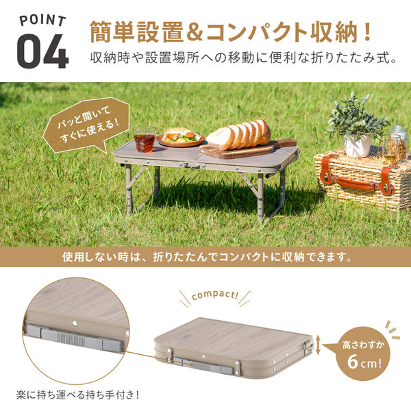 武田コーポレーション 2WAYアルミテーブル 60×40 FT25-6040(VGY