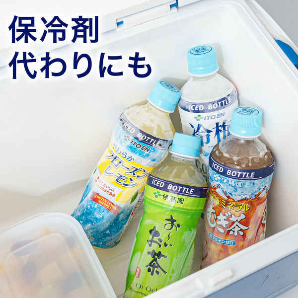 伊藤園 - 新商品～伊藤園お～いお茶緑茶PET485ml（冷凍兼用ボトル)× 48本セット 伊藤園 お～いお茶 緑茶（冷凍兼用ボトル）485ml ペットボトル1