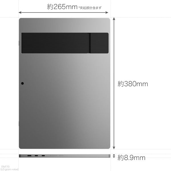 LG USB-C接続モバイルモニター gram +view チタンシルバー