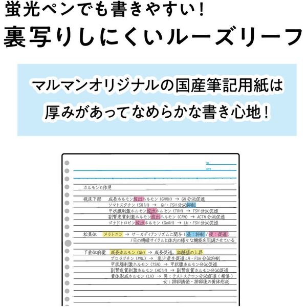 マルマン セッション バインダー A4 30穴 ピンク F584-08 1冊（直送品）