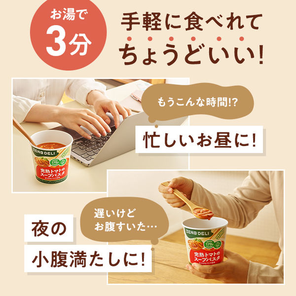 ZENB DELI コク旨カレーのスープパスタ 52.5g 1個 ZENB JAPAN