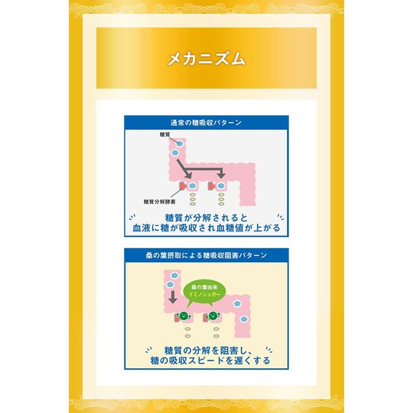 機能性表示食品】サントリー 伊右衛門プラス 血糖値対策 350ml 1セット